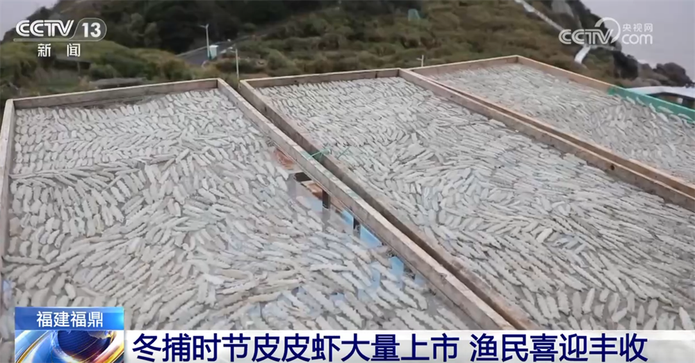 共享“渔”乐 百姓餐桌再添“鲜”滋味开元棋牌app多地火热冬捕精彩上演(图4)