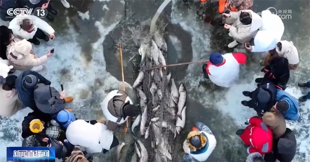 共享“渔”乐 百姓餐桌再添“鲜”滋味开元棋牌app多地火热冬捕精彩上演(图6)